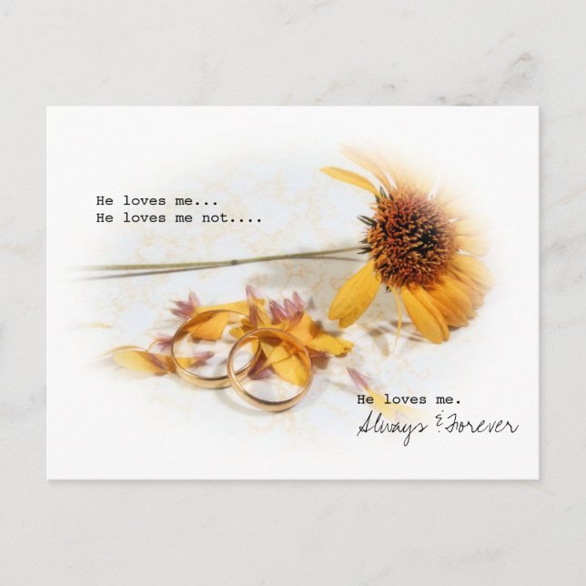 He Loves Me Postcard (Front)