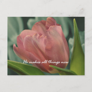 He Makes all Things New Bible Verse Postcard