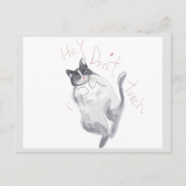 Hé ! Ne touchez pas - carte postale chat (Devant)