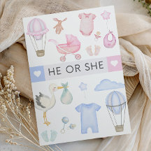 He or She Gender Reveal Party - He or She Shower 