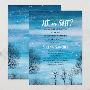 He or She Snowflake Winter Wonderland Baby Shower  Invitation
