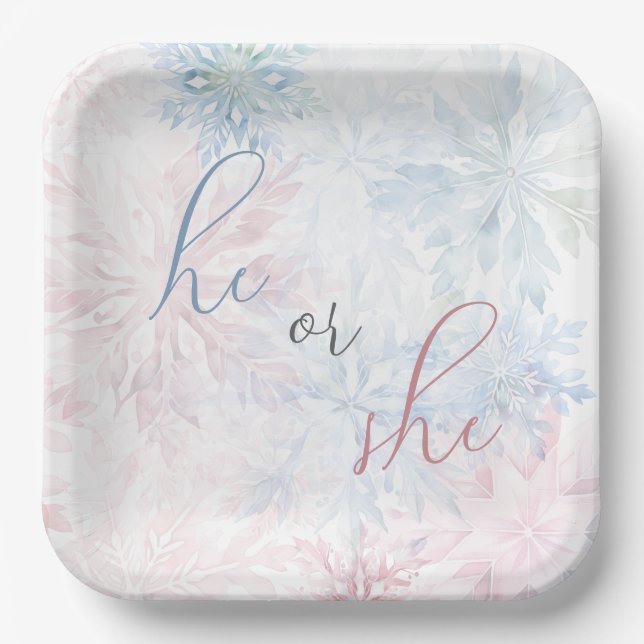 He or She Winter Pink Blue Snowflake Paper Plate (Front)