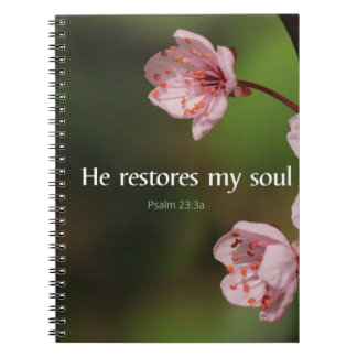 He restores my Soul Notebook