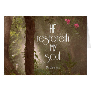 He restoreth my Soul Bible Verse