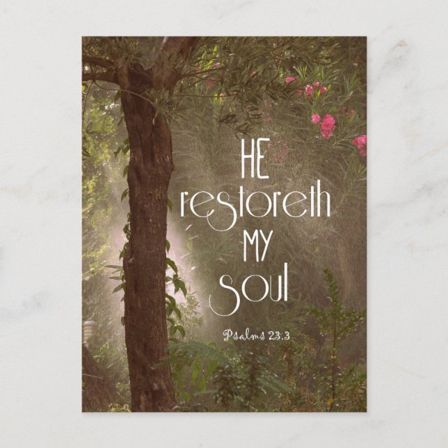 He restoreth my Soul Bible Verse Postcard (Front)