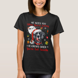 He Sees When You're Eating Snacks Xmas Great Dane  T-Shirt