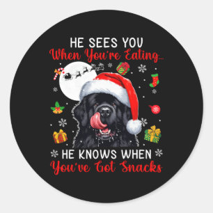 He Sees When You're Eating Snacks Xmas Newfoundlan Classic Round Sticker