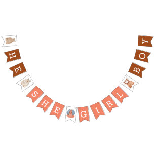 He She Girl Boy Gender Reveal Brown Coral Bunting Flags