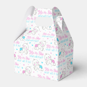 He She New Baby Favor Box