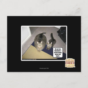 He shortage big boned. postcard