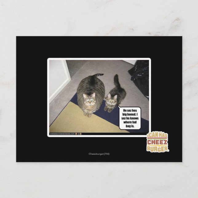 He shortage big boned. postcard (Front)