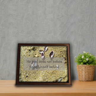 He that looks not before wisdom saying poster