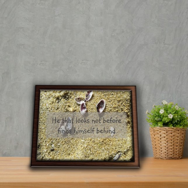 He that looks not before wisdom saying poster (Creator Uploaded)