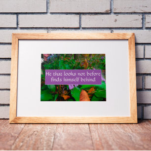 He that looks not before wisdom saying poster