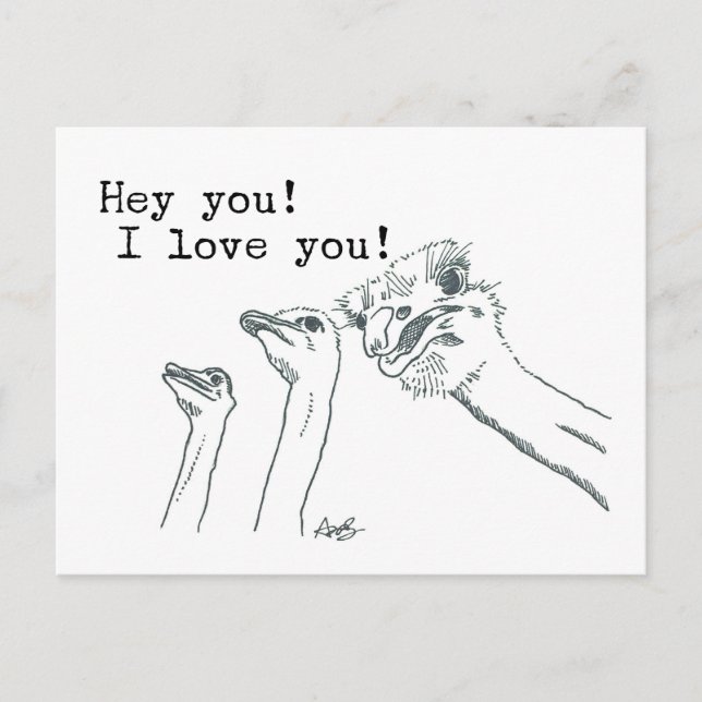 Hé Toi ! Je T'Aime ! - Carte postale Ostrich (Devant)