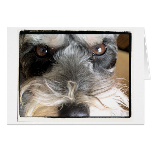 Hé Toi ! Je Vous Ordonne De Venir À Ma Fête ! (Devant horizontal)