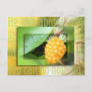He Who Abides In Me Postcard