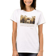 He Will Tend His Flock Isaiah 40:11 