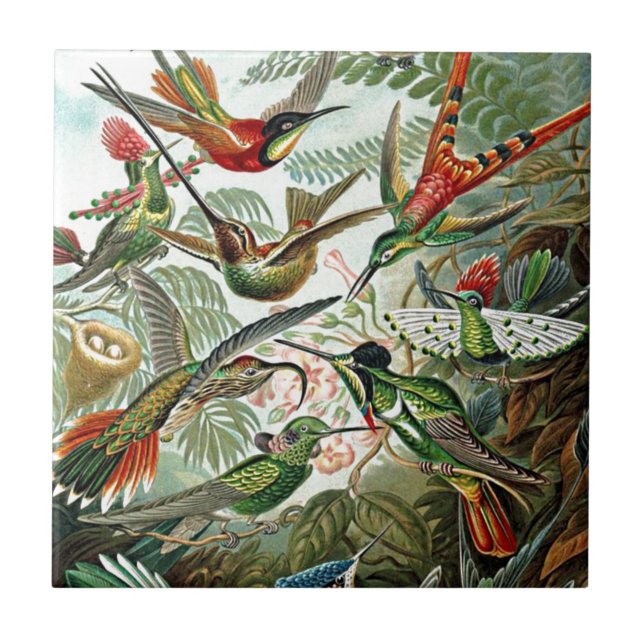 Heackel Nature Art Bird Design Hummingbirds Tile (Front)
