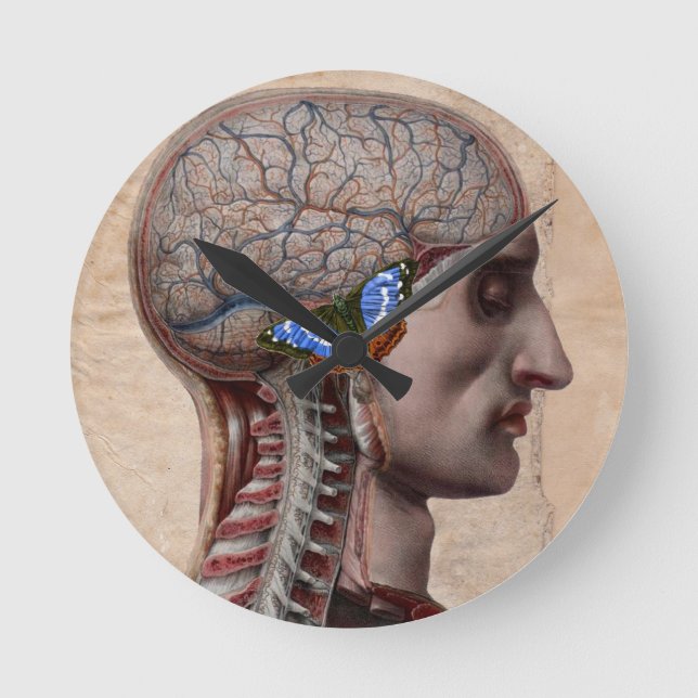 Head Anatomy Clock (Front)