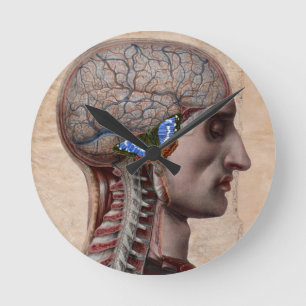 Head Anatomy Clock