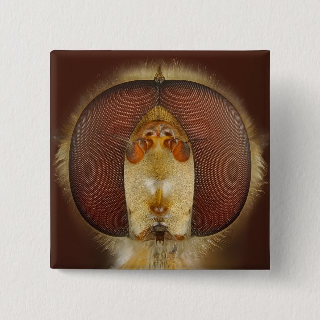Head and Compound Eyes of a Hover Fly 2 Inch Square Button (Front)