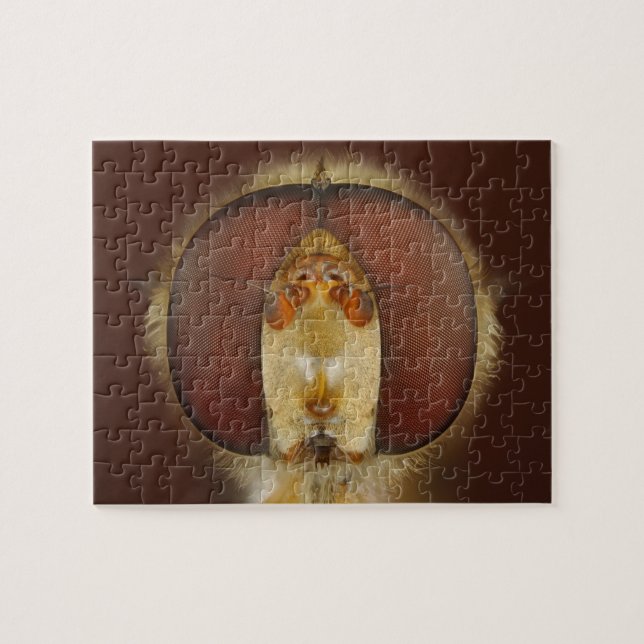 Head and Compound Eyes of a Hover Fly Jigsaw Puzzle (Horizontal)