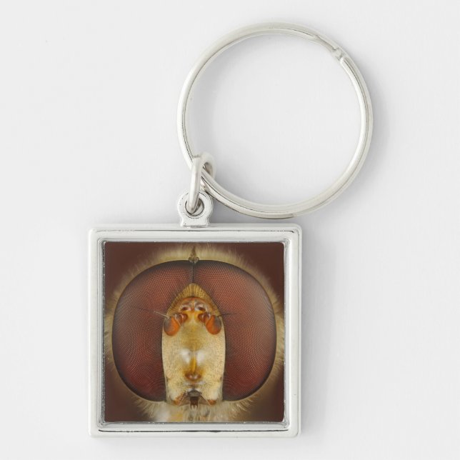 Head and Compound Eyes of a Hover Fly Keychain (Front)