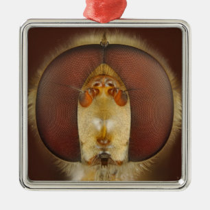 Head and Compound Eyes of a Hover Fly Metal Ornament