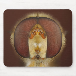 Head and Compound Eyes of a Hover Fly Mouse Pad