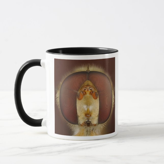 Head and Compound Eyes of a Hover Fly Mug (Left)