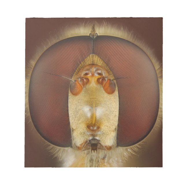 Head and Compound Eyes of a Hover Fly Notepad (Front)