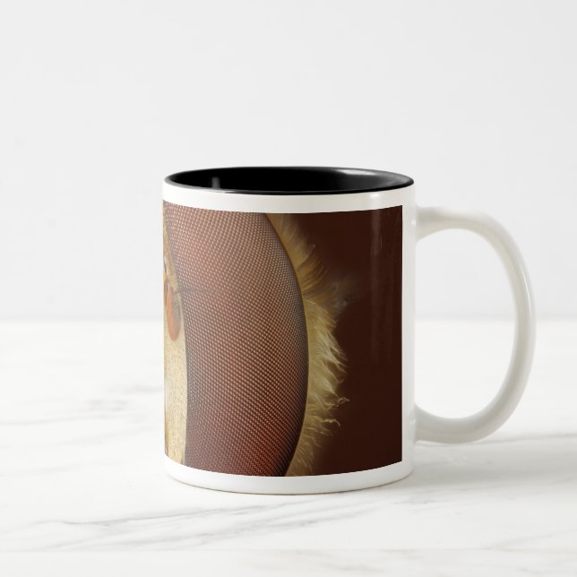 Head and Compound Eyes of a Hover Fly Two-Tone Coffee Mug (Right)