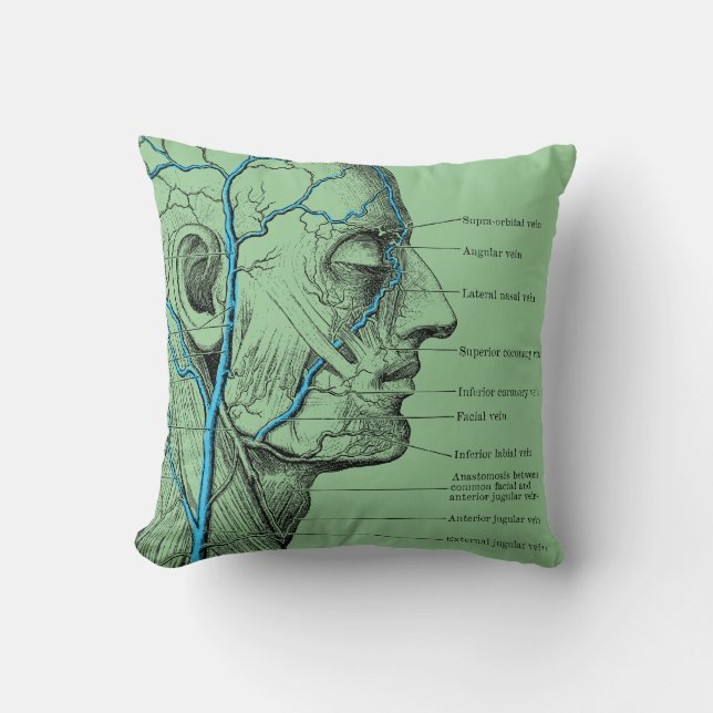 Head and veins - anatomy throw pillow (Front)