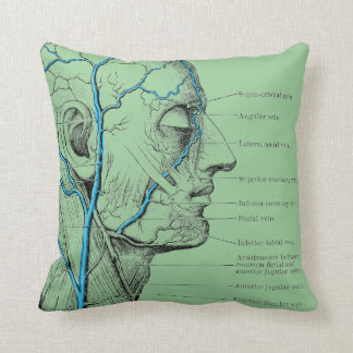 Head and veins - anatomy throw pillow