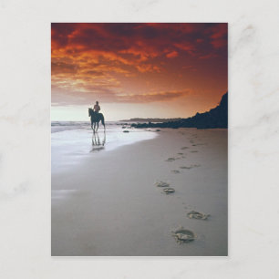 Head For Home Postcard