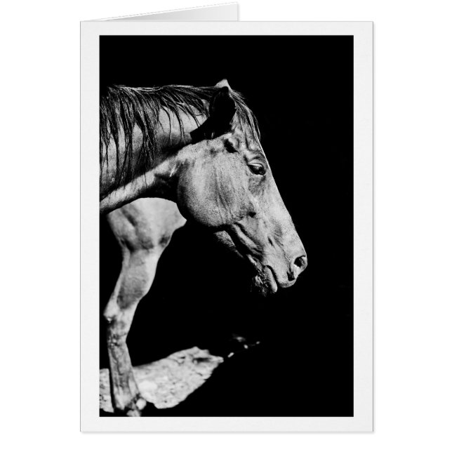 head horse's leg (Front)