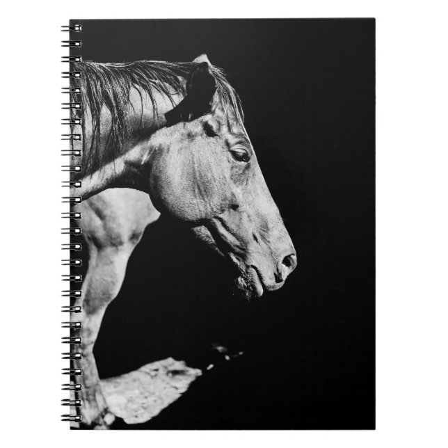 head horse's leg notebook (Front)