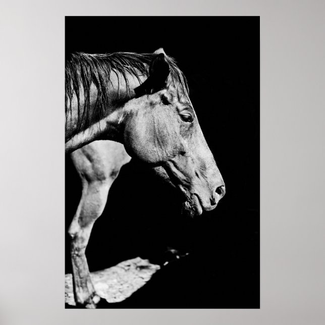 head horse's leg poster (Front)