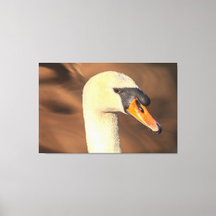 Head Mute Swan Portrait Canvas Print