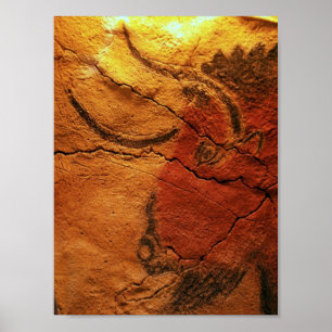 Head of a bison Altamira Cave Poster