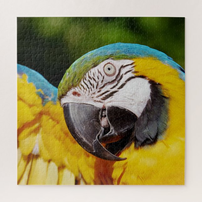 Head of a Blue and Yellow Macaw  Jigsaw Puzzle (Vertical)