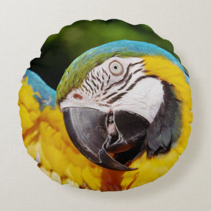 Head of a Blue and Yellow Macaw Round Pillow