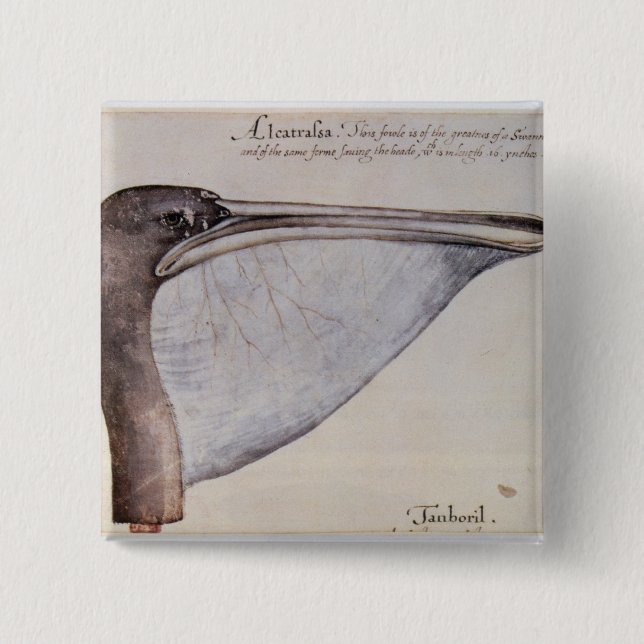 Head of a Brown Pelican 2 Inch Square Button (Front)