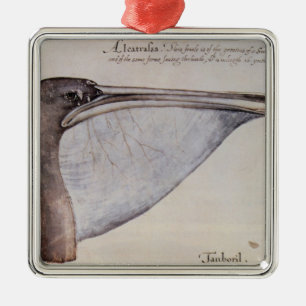 Head of a Brown Pelican Metal Ornament