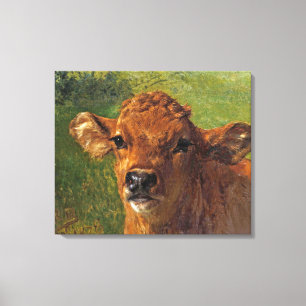 Head of a Calf (by Rosa Bonheur) Canvas Print