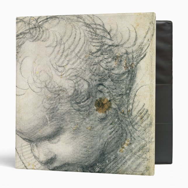 Head of a Cherub Binder (Front/Inside)
