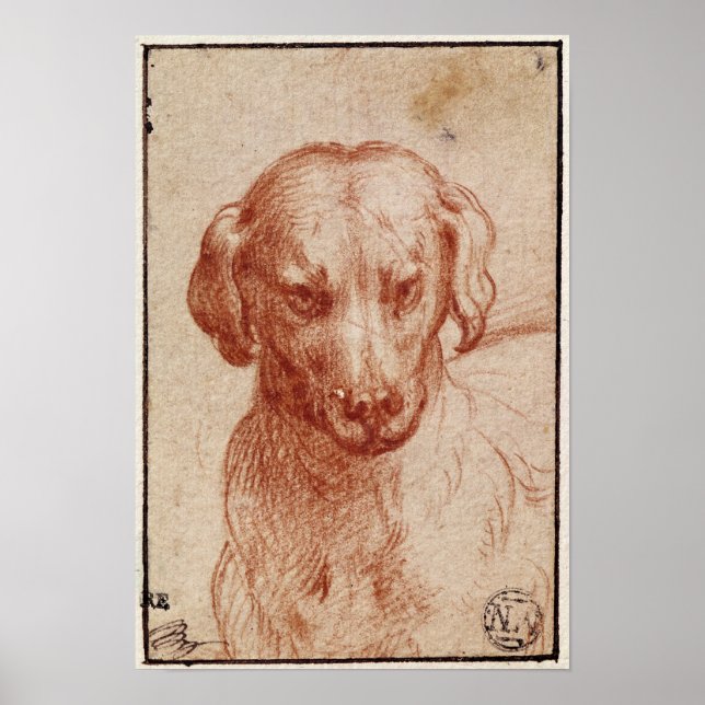 Head of a Dog Poster (Front)