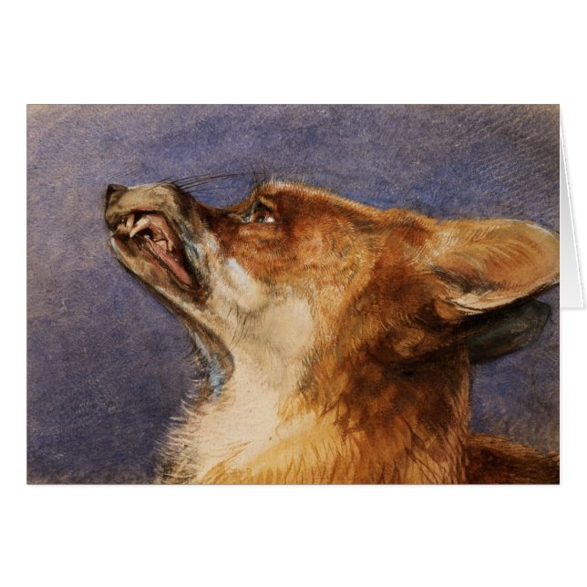 Head of a Fox (Front Horizontal)