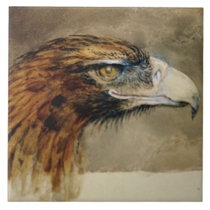 Head of a Golden Eagle (by John Ruskin) Tile